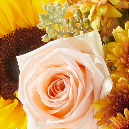 Pumpkin to Talk About Bouquet – WARD'S FLORIST AND GREENHOUSE, Beverly MA