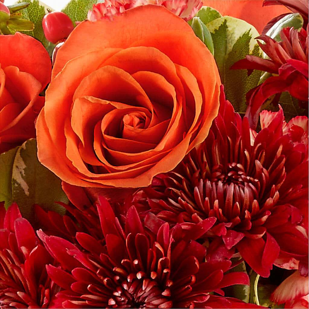 Autumn Air Pumpkin Bouquet – WARD'S FLORIST AND GREENHOUSE, Beverly MA