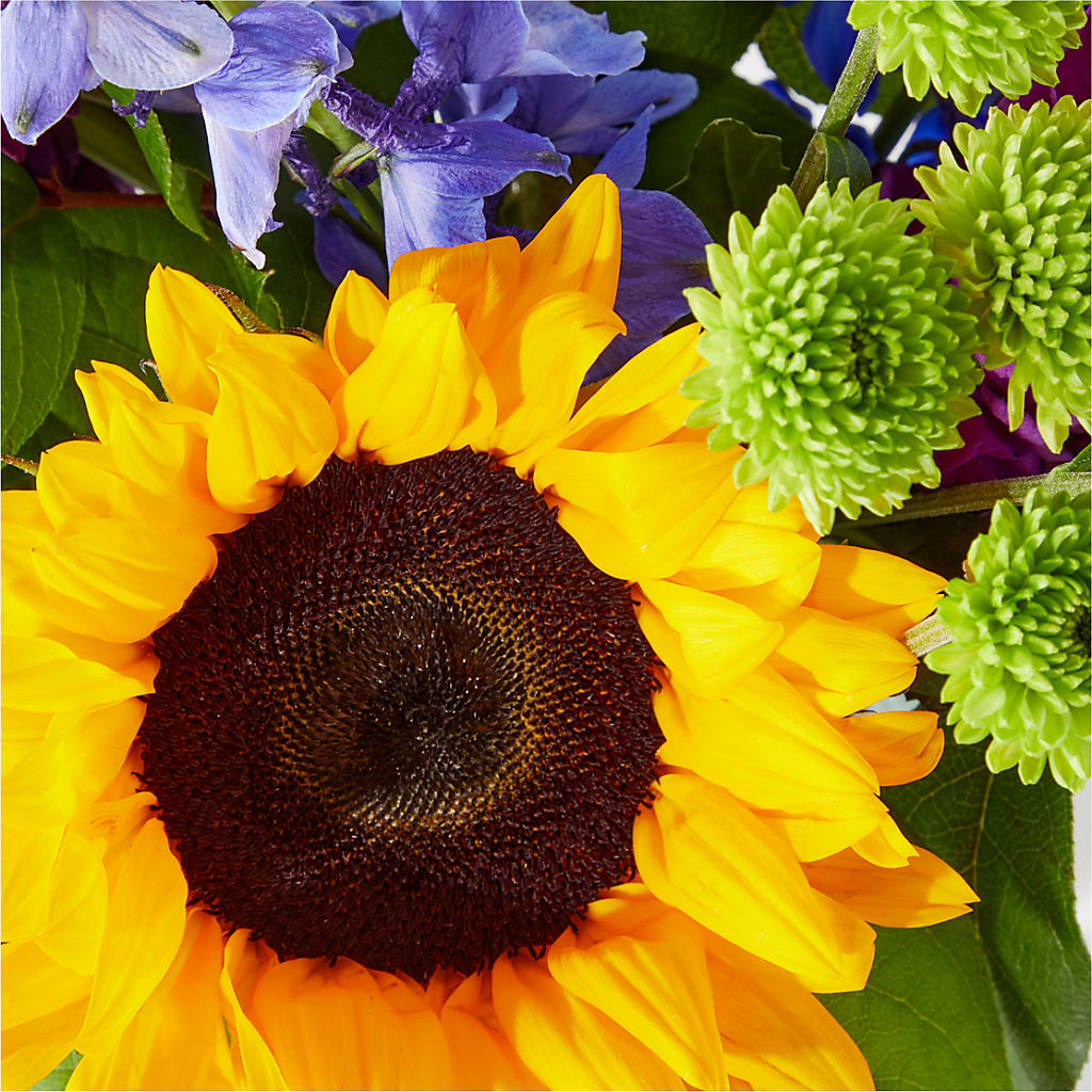 Catching Rays Bouquet – WARD'S FLORIST AND GREENHOUSE, Beverly MA