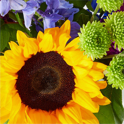 Catching Rays Bouquet – WARD'S FLORIST AND GREENHOUSE, Beverly MA