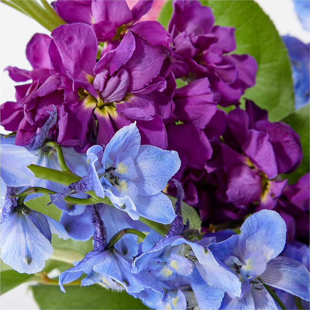 Twilight Glow Bouquet – WARD'S FLORIST AND GREENHOUSE, Beverly MA
