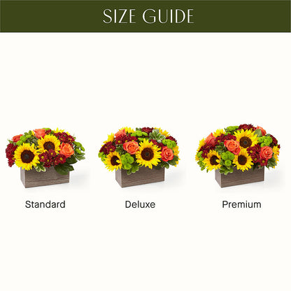 Happy Harvest Garden – WARD'S FLORIST AND GREENHOUSE, Beverly MA