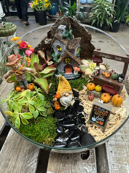 Autumn Gnome Pumpkin Patch Garden   – WARD'S FLORIST AND GREENHOUSE, Beverly MA
