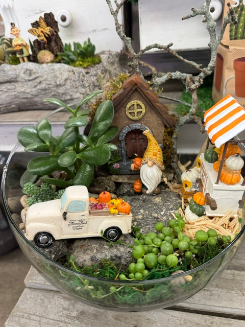 Autumn Harvest Fairy Garden – WARD'S FLORIST AND GREENHOUSE, Beverly MA