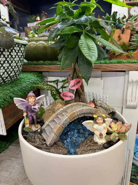 Fairy Crossing Money Tree Garden   – WARD'S FLORIST AND GREENHOUSE, Beverly MA