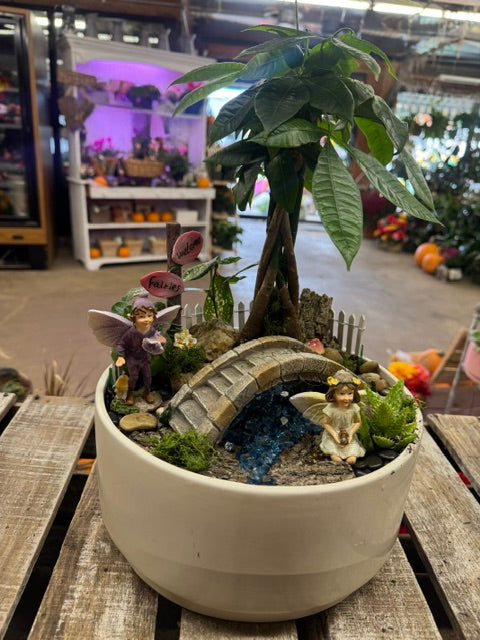 Enchanted Fairy Garden Money Tree – WARD'S FLORIST AND GREENHOUSE, Beverly MA