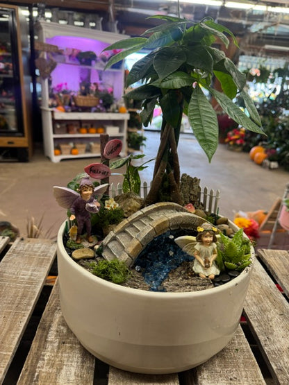Enchanted Fairy Garden Money Tree – WARD'S FLORIST AND GREENHOUSE, Beverly MA