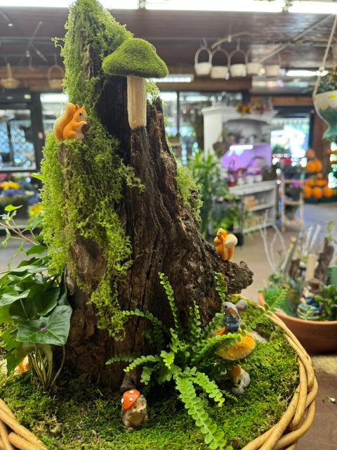 Enchanted Fairy Hollow Garden – WARD'S FLORIST AND GREENHOUSE, Beverly MA