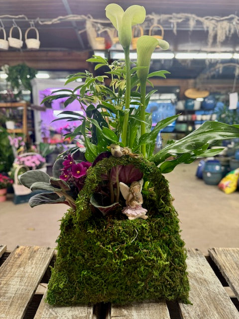 Enchanted Moss Purse Garden