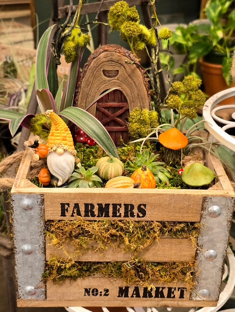 Farmers Market Fairy Garden   – WARD'S FLORIST AND GREENHOUSE, Beverly MA