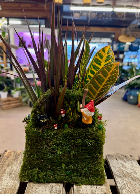 Gnomes Hidden Lookout