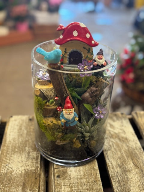 Gnome Hollow Terrarium
