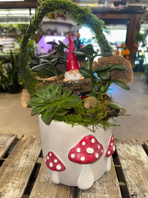 Gnome’s Mushroom Welcome Garden   – WARD'S FLORIST AND GREENHOUSE, Beverly MA