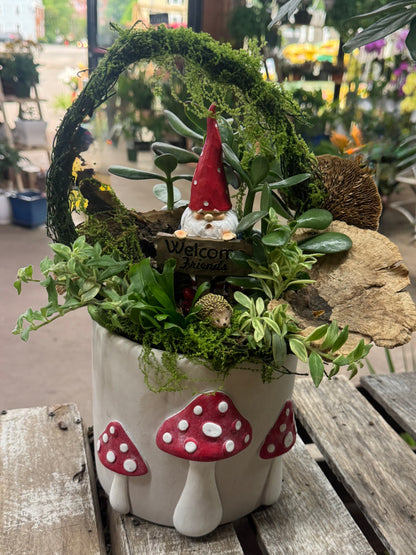 Gnome’s Mushroom Welcome Garden – WARD'S FLORIST AND GREENHOUSE, Beverly MA
