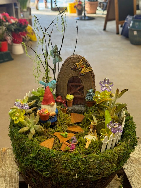 Hidden Hollow Fairy Garden