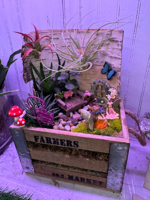 Fairy's Market Day Garden