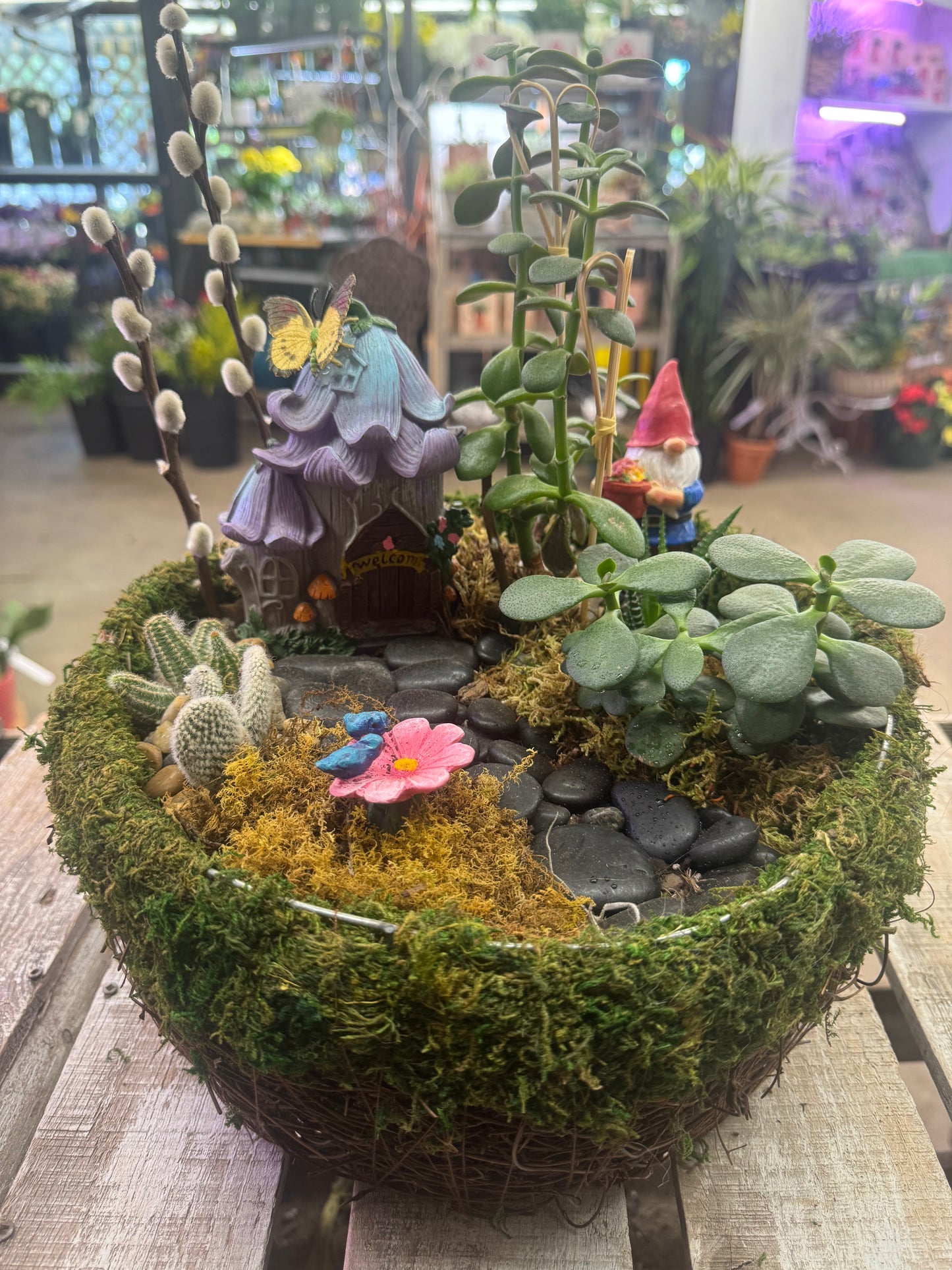Gnome's Mossy Hideaway