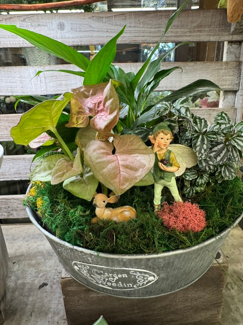 Fairy's Mossy Meadow Garden