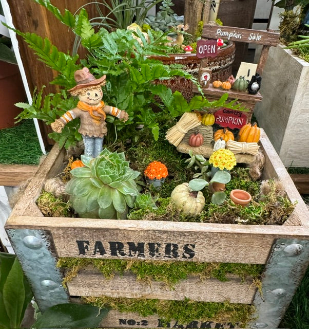 Pumpkin Patch Harvest Garden   – WARD'S FLORIST AND GREENHOUSE, Beverly MA