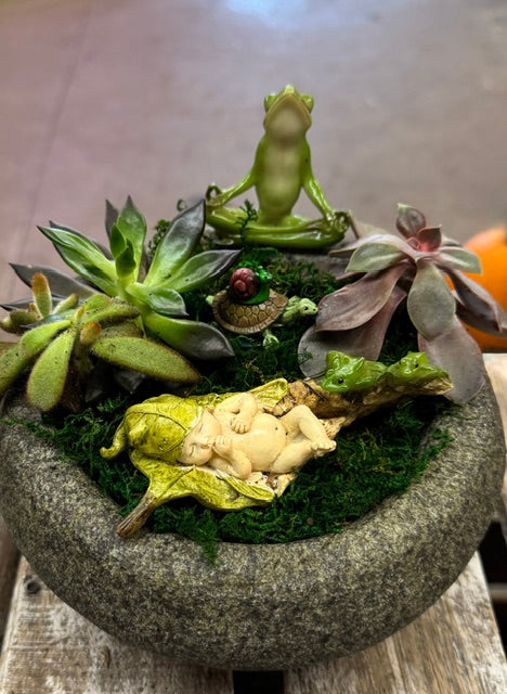 Sleeping Baby Fairy Succulent Garden – WARD'S FLORIST AND GREENHOUSE, Beverly MA