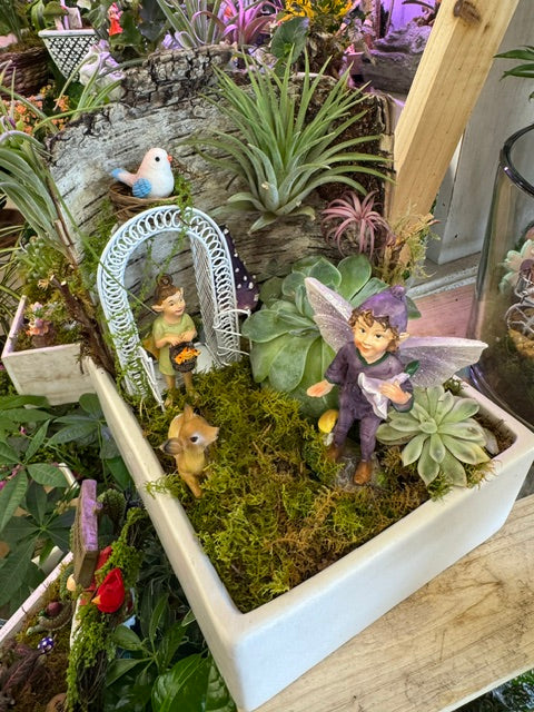 Fairy's Secret Garden Path