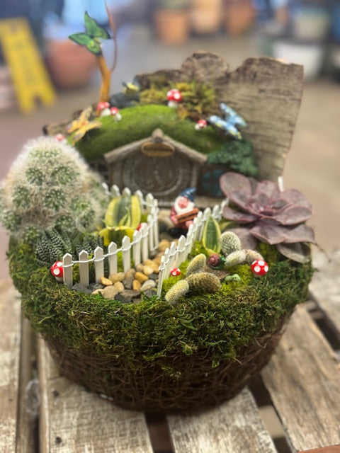 Storybook Succulent & Cactus Fairy Garden