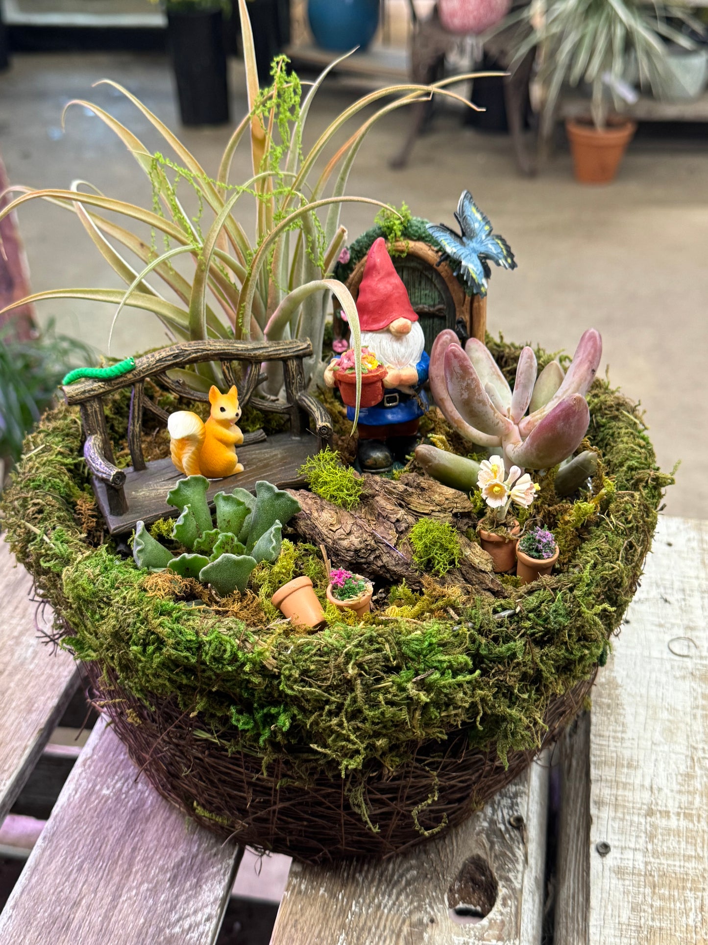 The Gnome’s Hidden Doorstep   – WARD'S FLORIST AND GREENHOUSE, Beverly MA