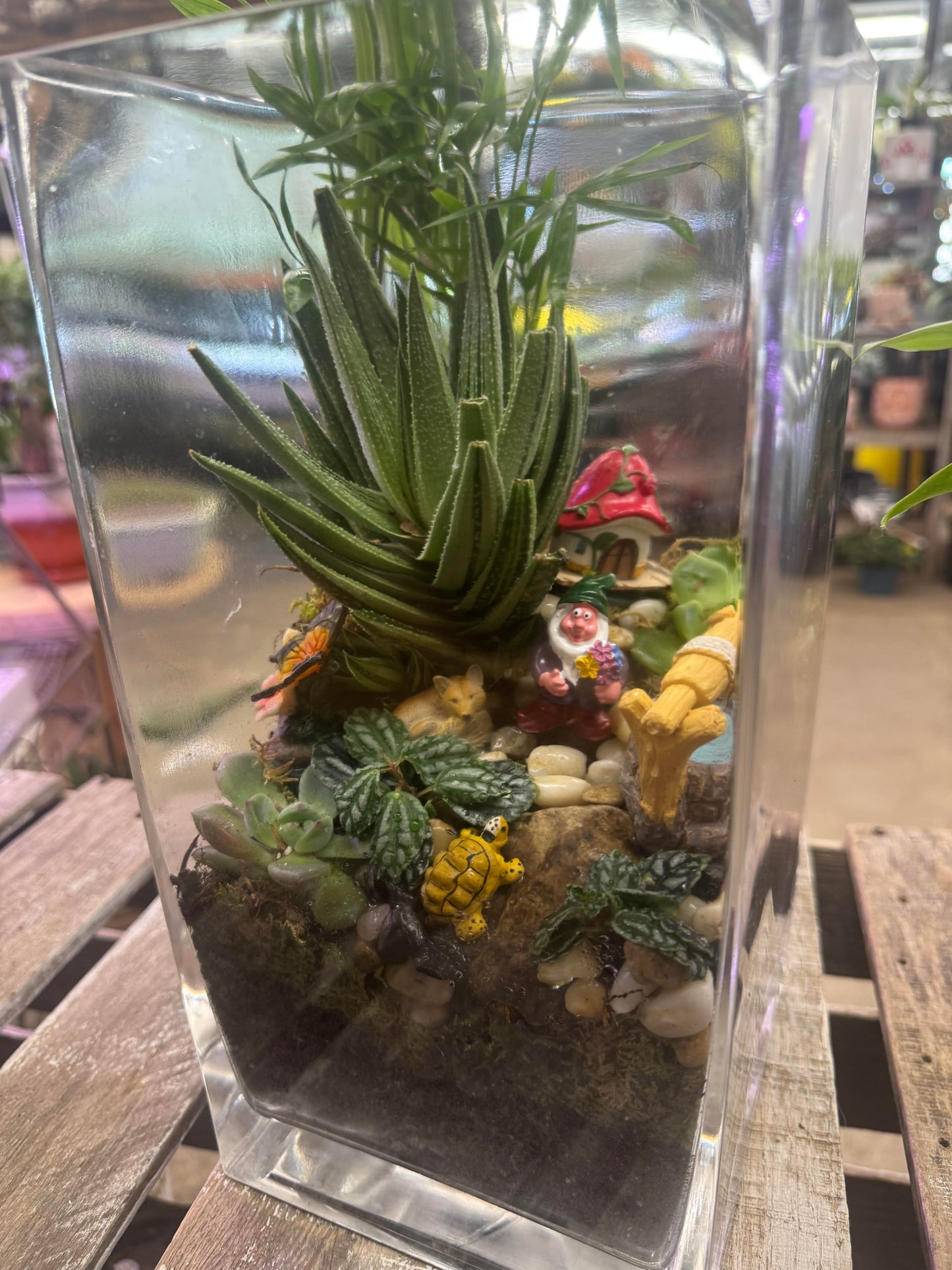 Turtle Trail Garden