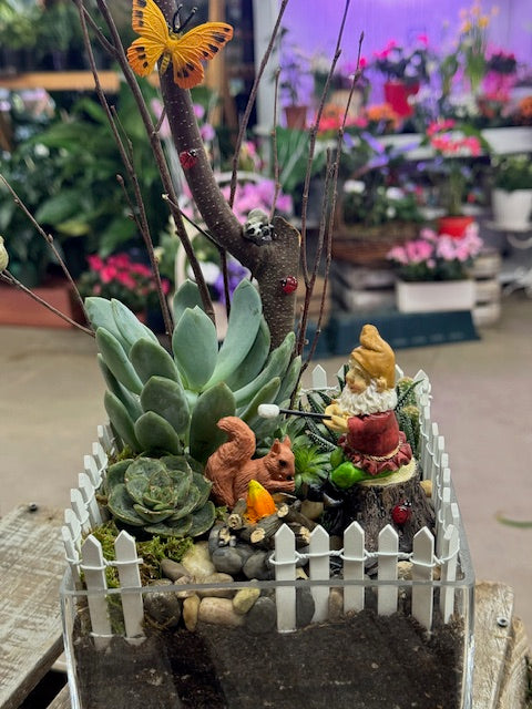 Woodland Campfire Garden