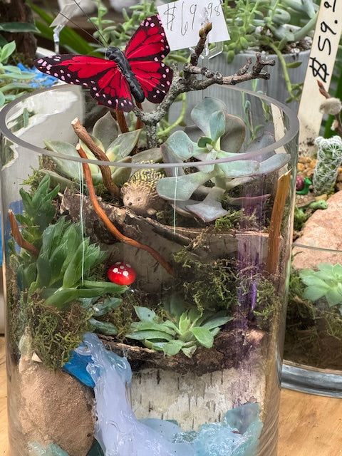 Woodland Stream Fairy Garden