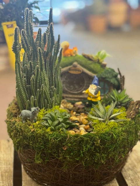 Whimsical Succulent & Cactus Gnome Garden
