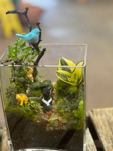 Whimsical Succulent Terrarium Garden