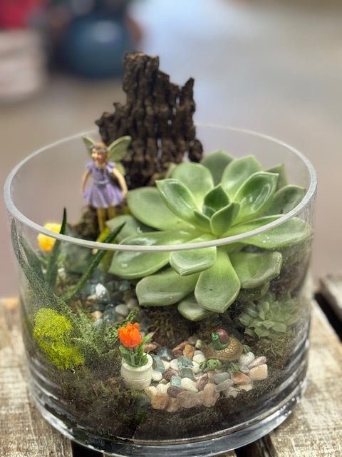 Enchanted Succulent Fairy Retreat