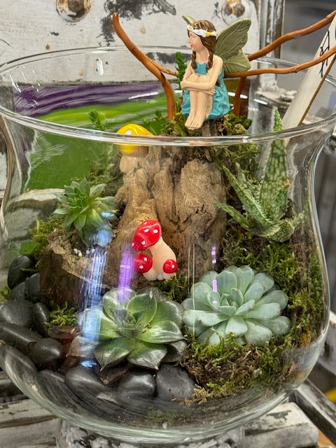 River Rock Fairy Garden with Live Succulents