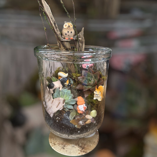 Woodland Watch Fairy Garden