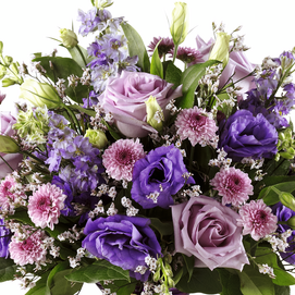 Purple Florist Original