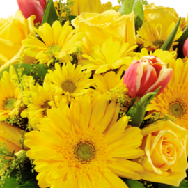 Yellow Florist Original