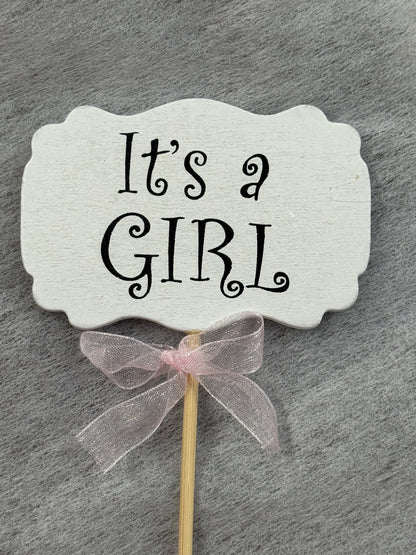 It's A Girl Pick – WARD'S FLORIST AND GREENHOUSE, Beverly MA