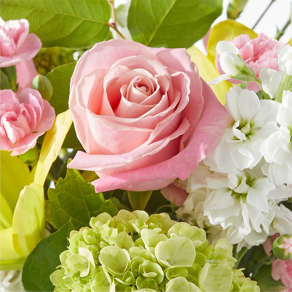 Garden Delight Bouquet – WARD'S FLORIST AND GREENHOUSE, Beverly MA