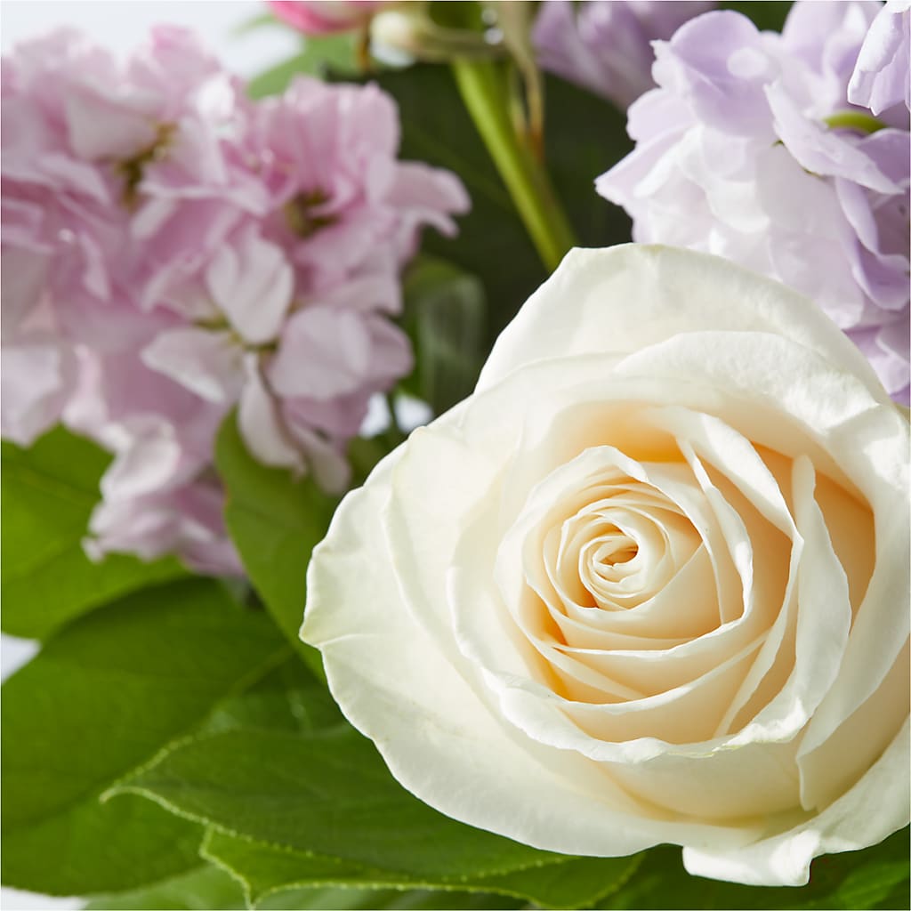 Springtime Spritz Bouquet – WARD'S FLORIST AND GREENHOUSE, Beverly MA