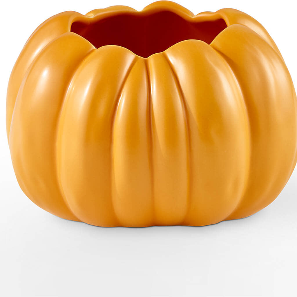 Golden Gourd Pumpkin Bouquet – WARD'S FLORIST AND GREENHOUSE, Beverly MA