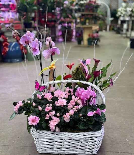 Blushing Garden Basket