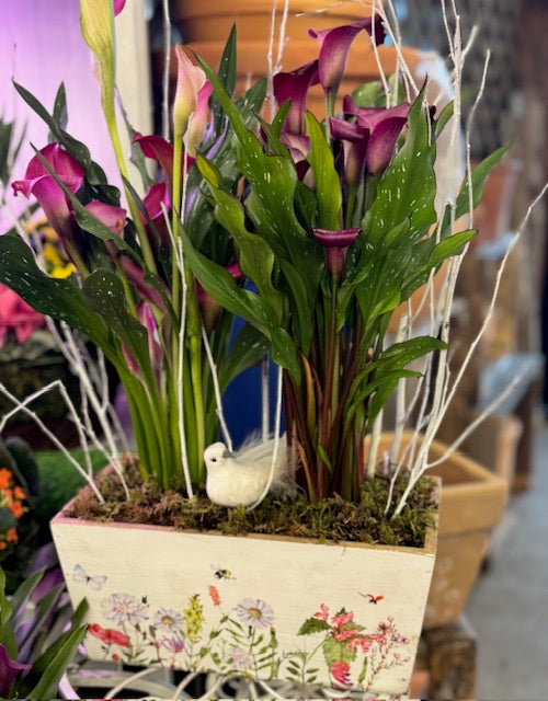 Calla Meadow Planter