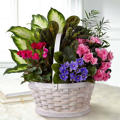 Peaceful Garden Planter – WARD'S FLORIST AND GREENHOUSE, Beverly MA