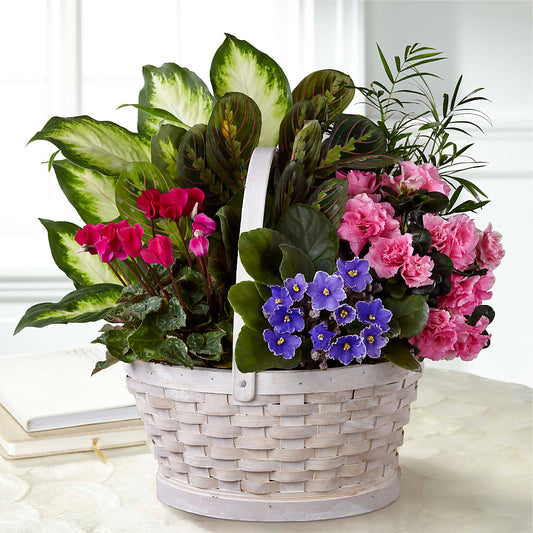 Peaceful Garden Planter – WARD'S FLORIST AND GREENHOUSE, Beverly MA