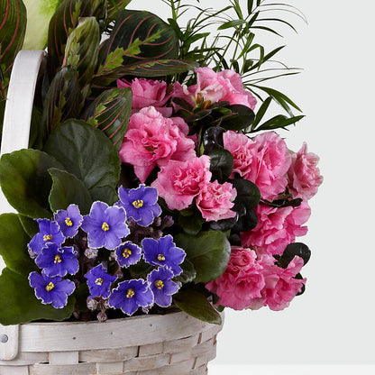 Peaceful Garden Planter – WARD'S FLORIST AND GREENHOUSE, Beverly MA