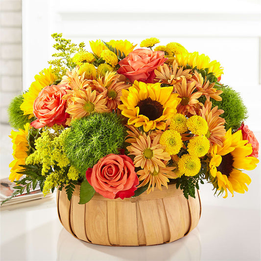 Harvest Sunflower Basket – WARD'S FLORIST AND GREENHOUSE, Beverly MA