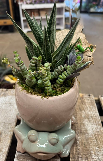 Hoppy Little Garden   – WARD'S FLORIST AND GREENHOUSE, Beverly MA