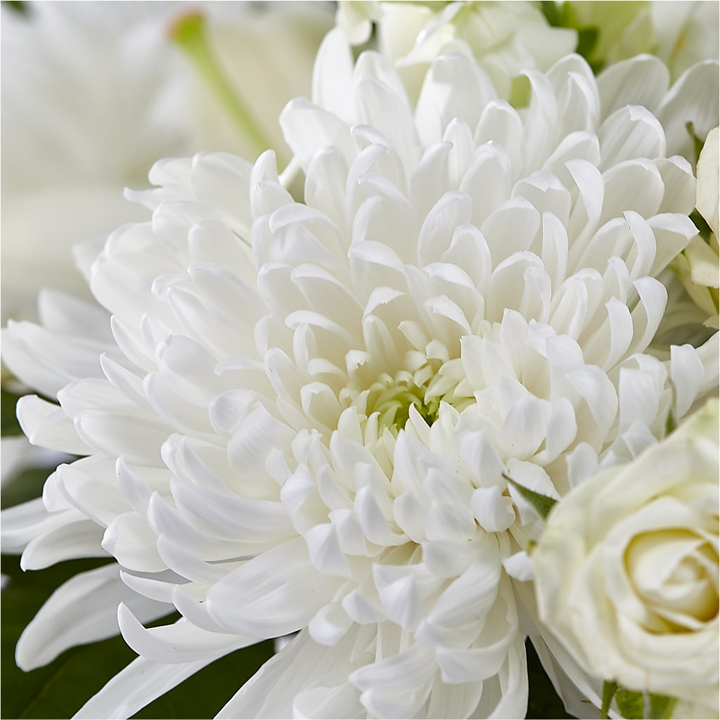 Classic Ivory – A Florist Original – WARD'S FLORIST AND GREENHOUSE, Beverly MA