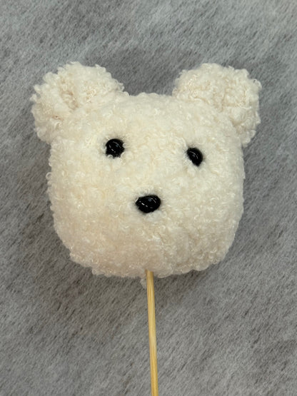 Cream Teddy Pick – WARD'S FLORIST AND GREENHOUSE, Beverly MA
